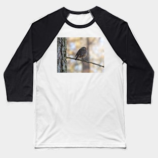 Robin Christmas Card Baseball T-Shirt